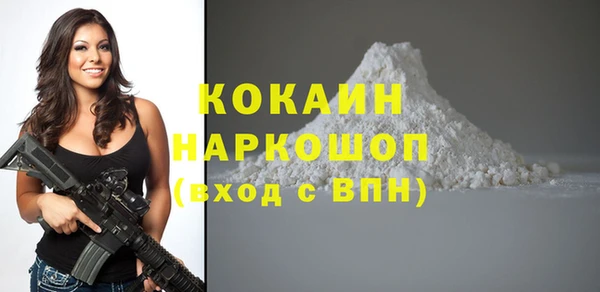 гашик Белоозёрский