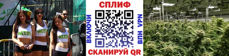 Бошки Шишки THC 21%  даркнет сайт  Высоковск 